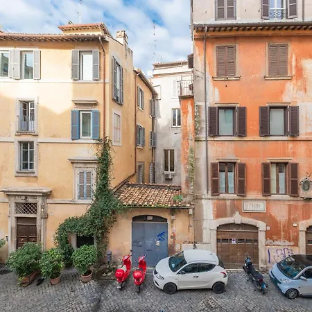 Nosdom - Navona Design